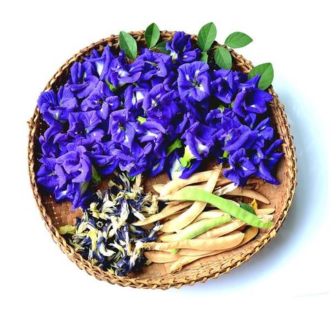 Hoa Đậu Biếc
